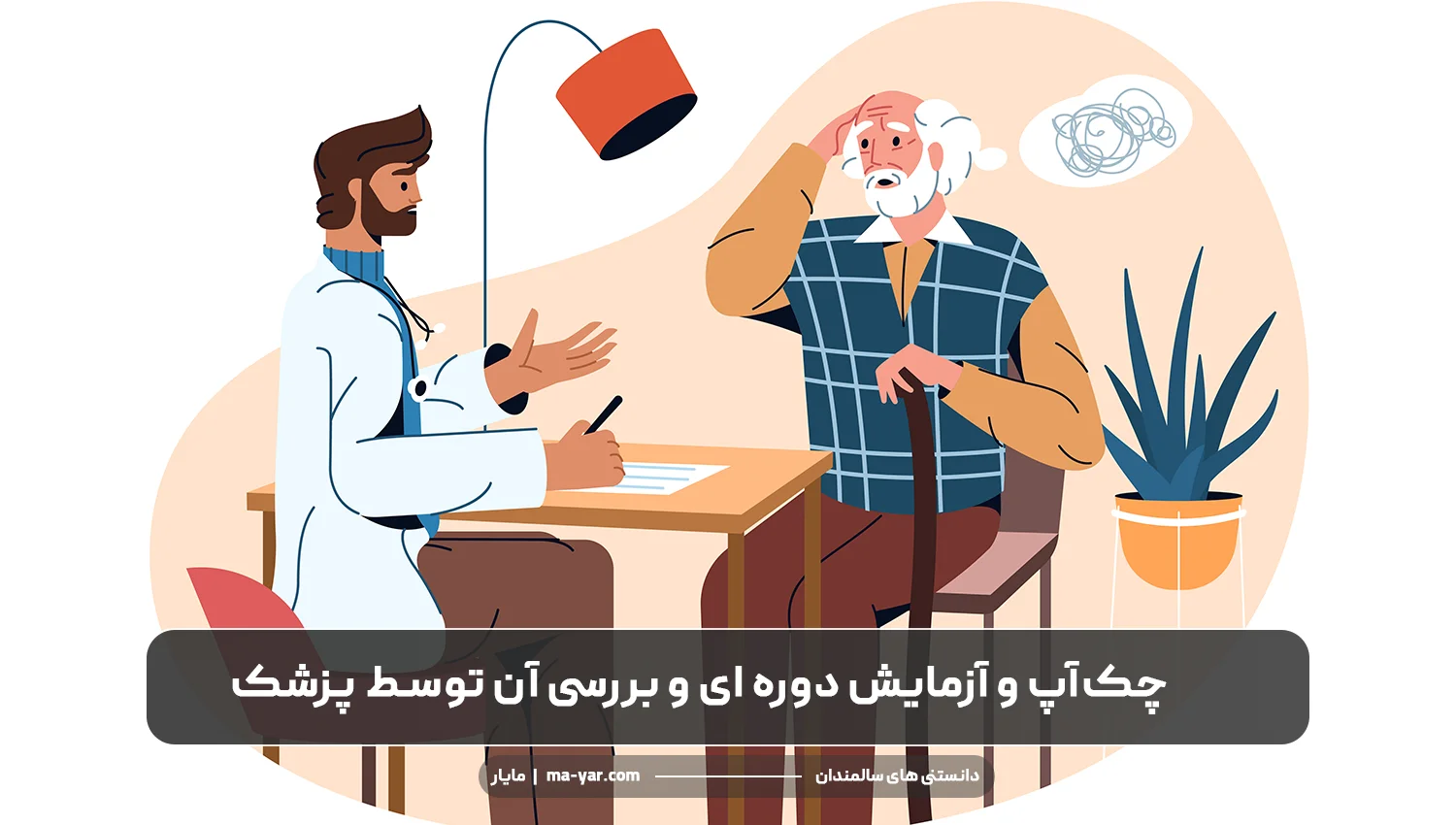 مراقبت پزشکی سالمند